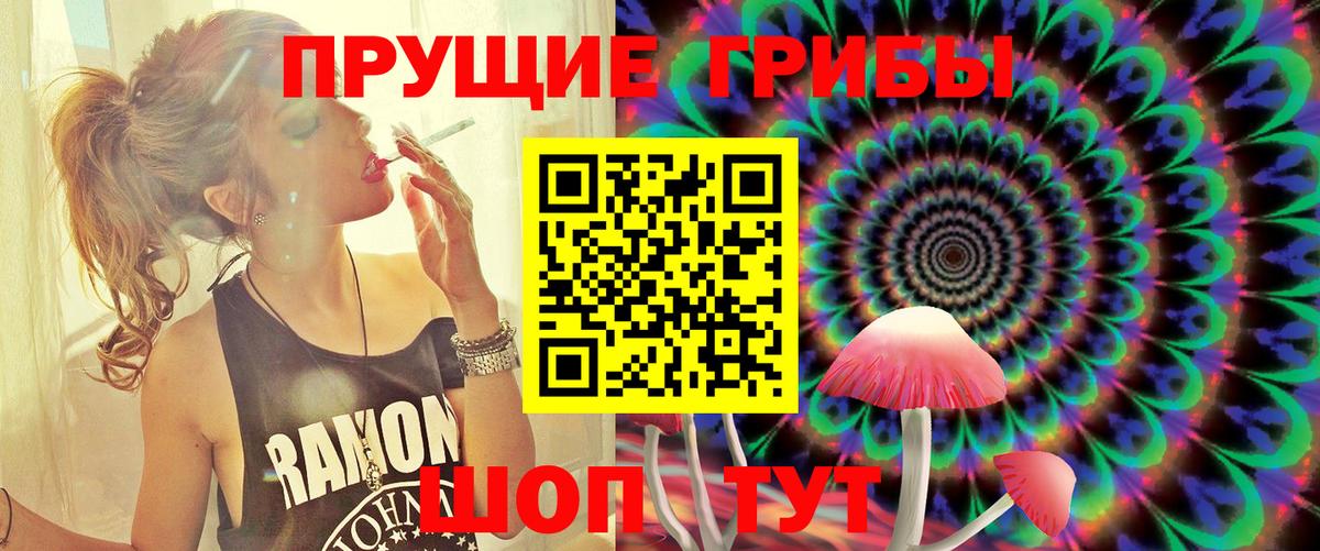 Каменск-Уральский  Псилоцибиновые грибы мицелий  Вход с VPN 