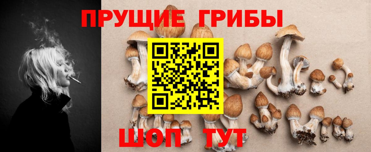 Галлюциногенные грибы Cubensis Каменск-Уральский